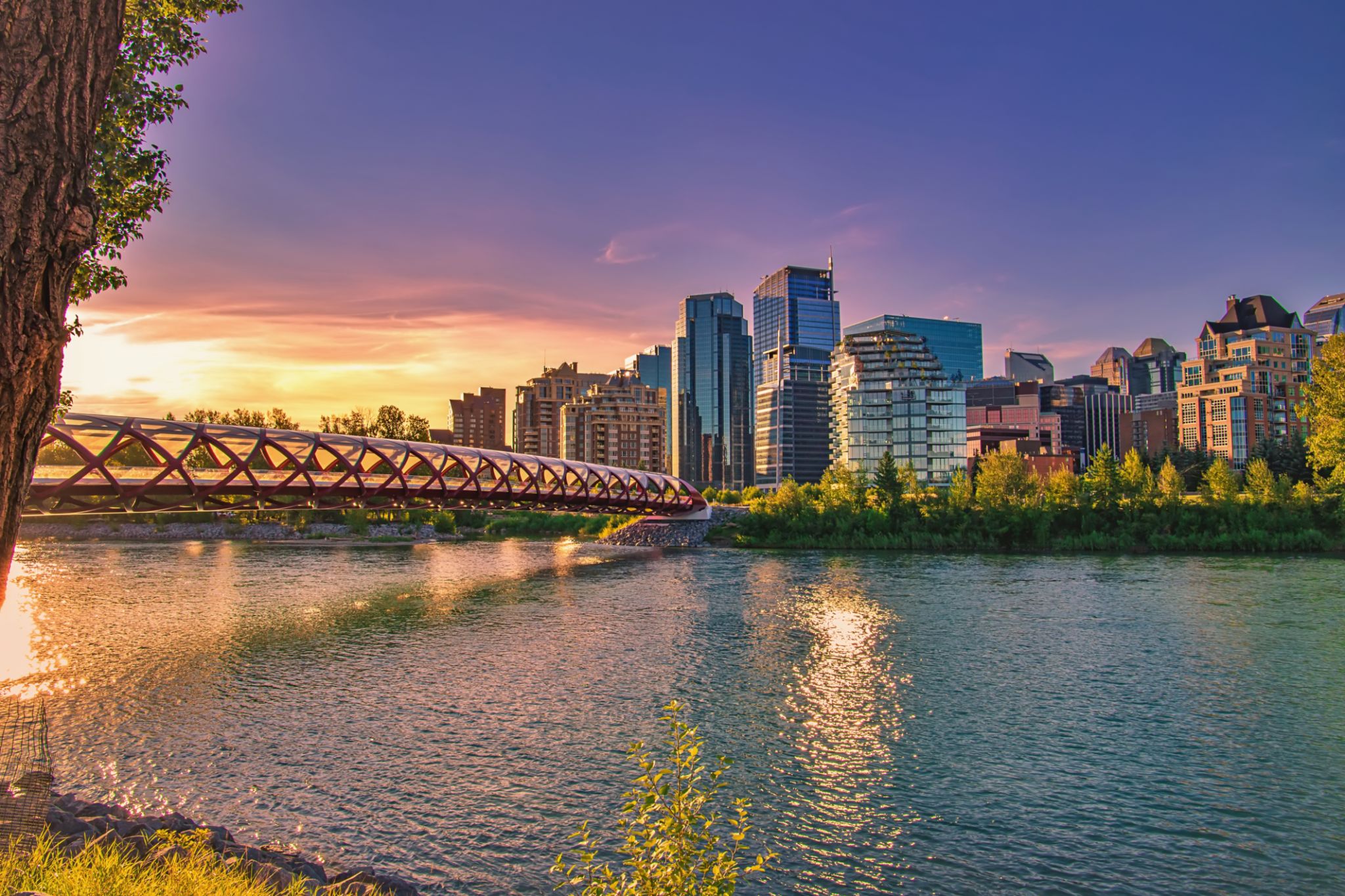 calgary downtown