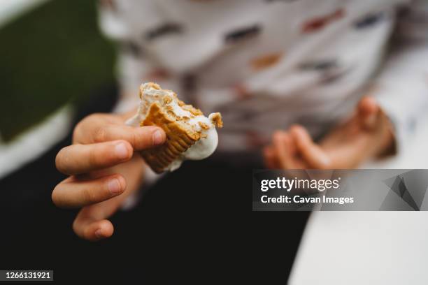 close up of bitten cookies and marshmallows smores - manger sur le pouce photos et images de collection