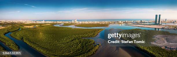 阿聯酋海馬酋長國全景鳥瞰圖。 - ras al khaimah 個照片及圖片檔