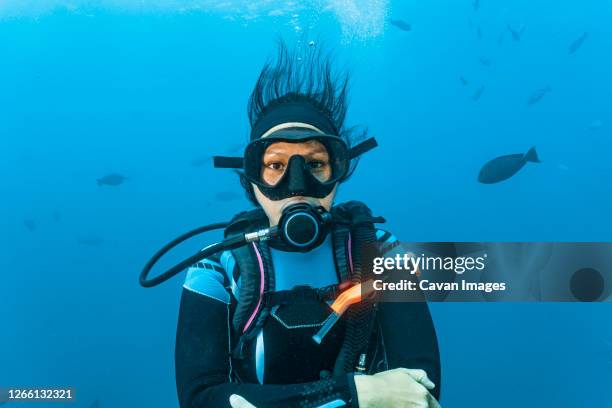 diver looking at camera at great barrier reef - woman diving underwater stock-fotos und bilder