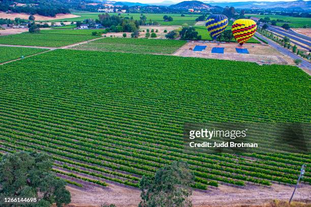 hete lucht ballonvaren - napa californië stockfoto's en -beelden