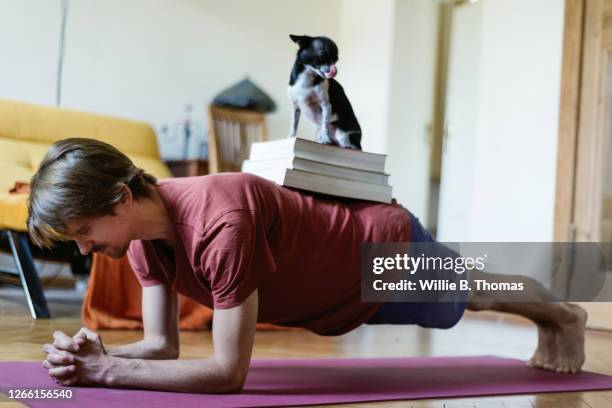 man doing planks with books and a dog on his back - plank exercise foto e immagini stock