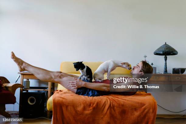 man stretching on bed with his dogs - sport real people stock pictures, royalty-free photos & images