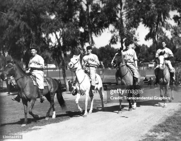 View of three members of the Chicago Cubs baseball team as they ride horses during spring training on Catalina Island, California, 1946.