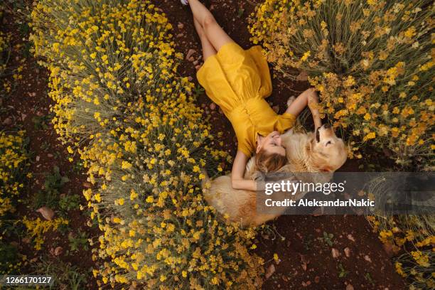 mein wärmstes kissen - yellow dress stock-fotos und bilder