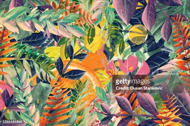 ilustrações, clipart, desenhos animados e ícones de frutas tropicais e folhas de fundo - floresta tropical