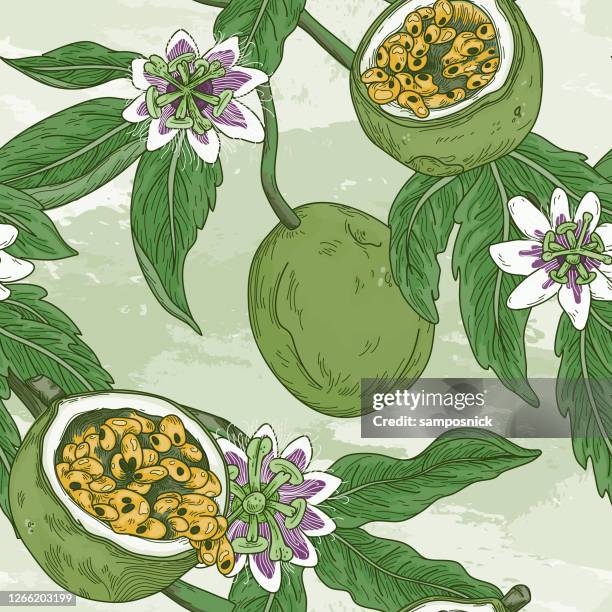 vintage passion fruit vine blossom seamless pattern - passion fruit flower images stock illustrations
