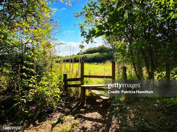 country stile - stye stock pictures, royalty-free photos & images