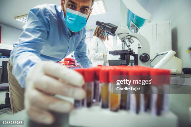 blood testing for covid- 19 - virology stock pictures, royalty-free photos & images