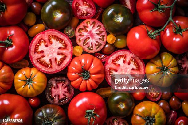 various kinds of tomatoes background - vegetable medley stock pictures, royalty-free photos & images