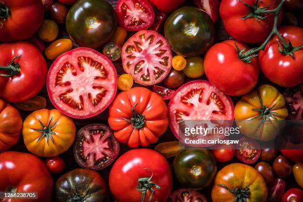 vários tipos de fundo de tomates - tomate - fotografias e filmes do acervo