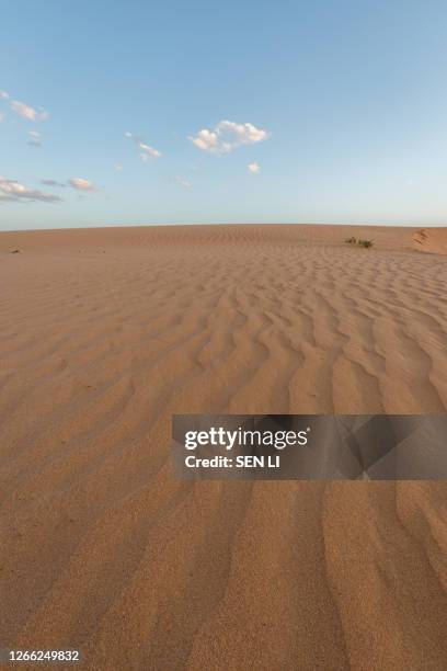 sunset landscape of the ala shan desert or tengger desert, inner mongolia, northwest of china - charia photos et images de collection