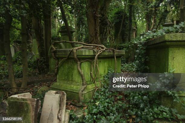 highgate cemetery london england - highgate stock-fotos und bilder