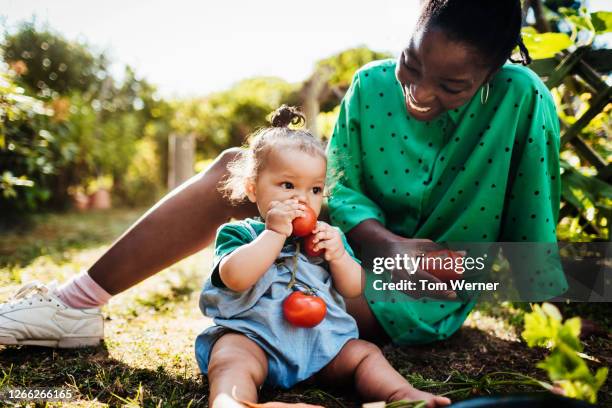 young baby eating fresh tomatoes with mom - native african girls 個照片及圖片檔