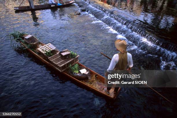 Le marché flottant de l'Isle-sur-la-Sorgue, circa 1990, dans le Vaucluse, France.