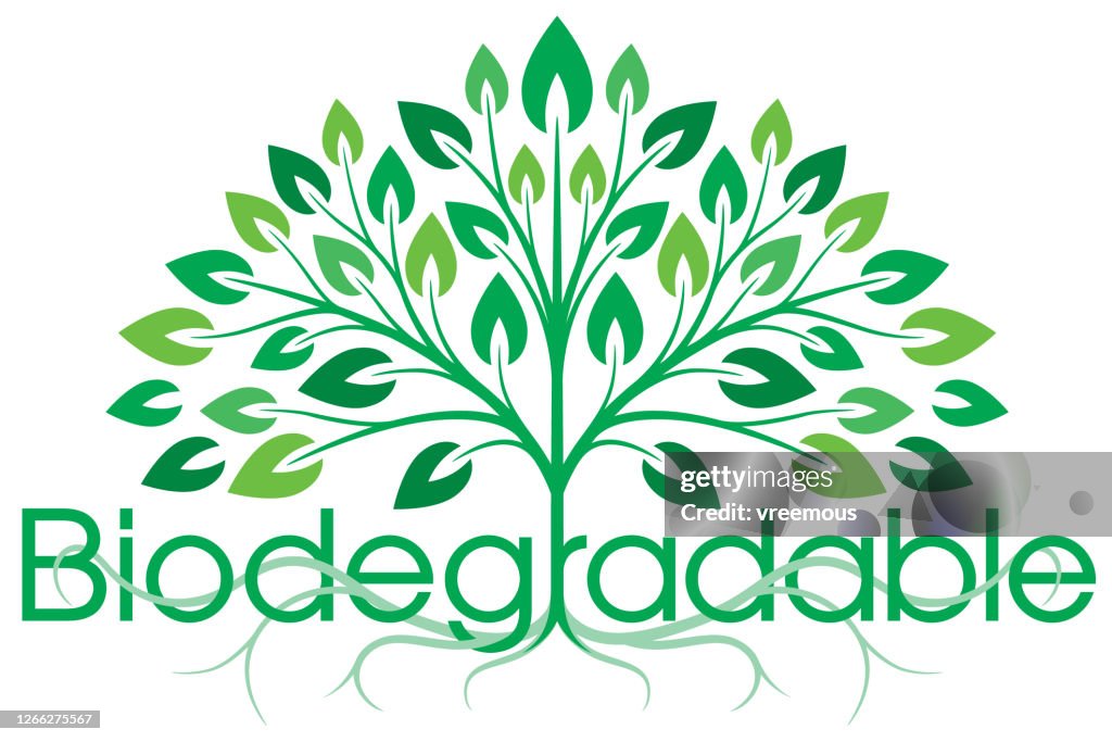 Biodegradability Sign Biodegradable Symbol High-Res Vector Graphic - Getty Images
