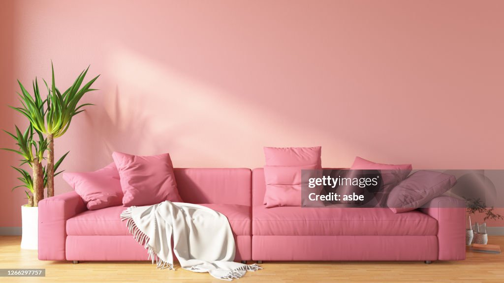 Pink Living Room with Sofa