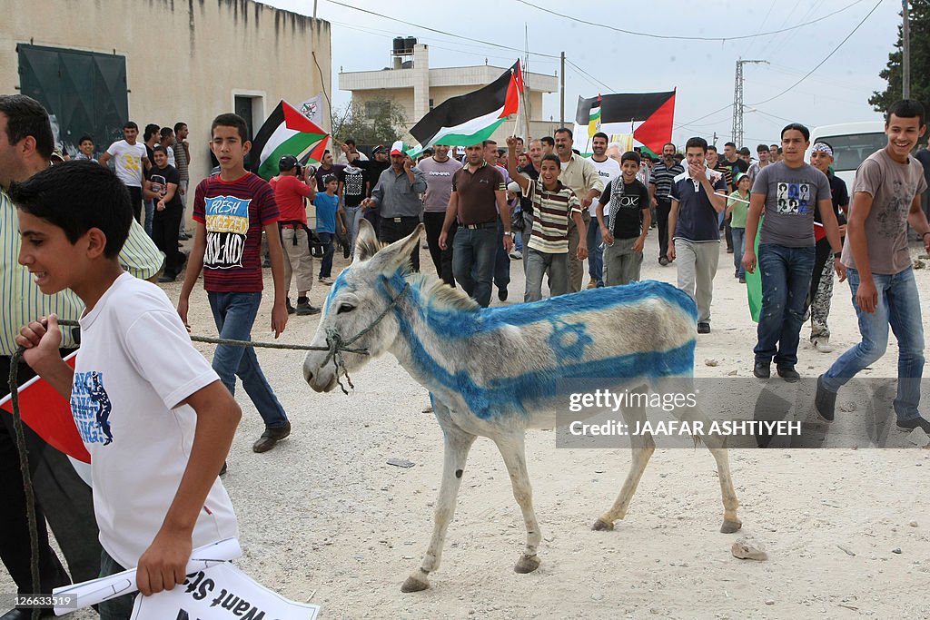 Palestinians display a donkey painted as