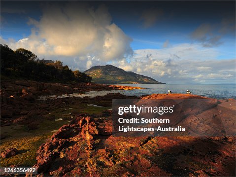 Freycinet National Park, East coast, Tasmania, Australia. Freycinet National Park, East coast, Tasmania, Australia.