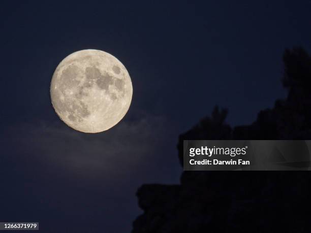 august 2020 full moon sturgeon moon boise foothills - sturgeon fish stock pictures, royalty-free photos & images