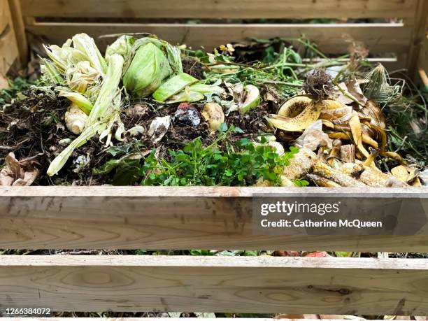 full wooden compost bin - compost stockfoto's en -beelden