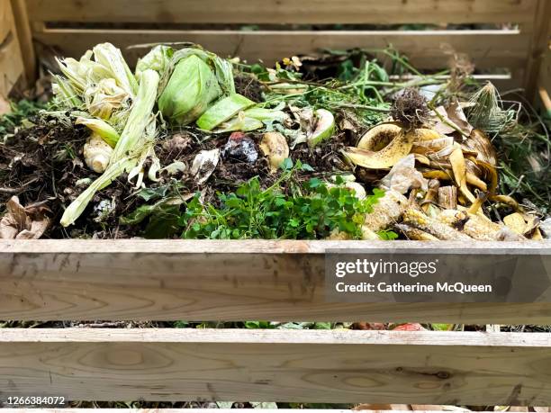 full wooden compost bin - biodegradable stock pictures, royalty-free photos & images
