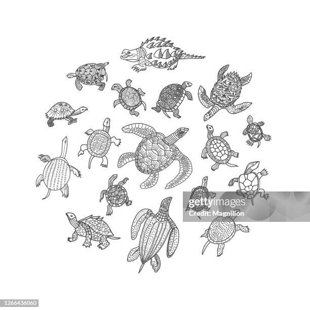 turtles doodle set - turtle stock illustrations