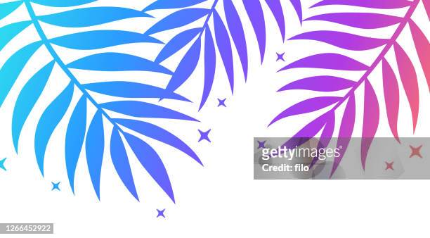 ilustrações, clipart, desenhos animados e ícones de elemento de design de borda de gradiente de folha de samambaia - camisa havaiana