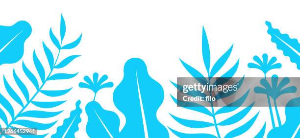 ilustrações, clipart, desenhos animados e ícones de fronteira vegetal tropical azul - ramo parte de uma planta