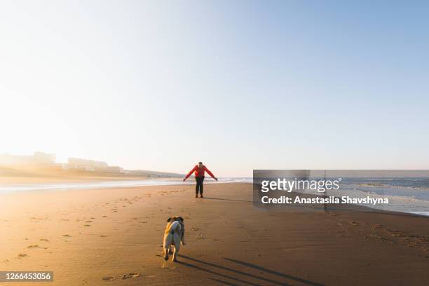young man playing with his dog at the scenic beach during sunrise in netherlands - running netherlands stock pictures, royalty-free photos & images