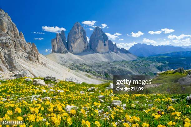 three lavaredo peaks, dolomites, tyrol du sud, italie - dolomites photos et images de collection