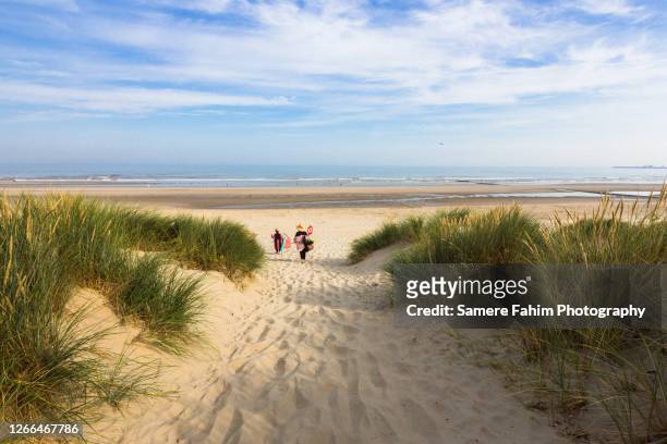 a path through the dunes leading to the beach - belgische kustlijn stockfoto's en -beelden