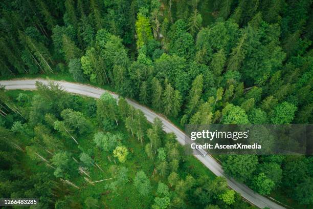 luftperspektive eines wohnmobils, das eine straße durch den wald hinunterfährt - caravaning stock-fotos und bilder