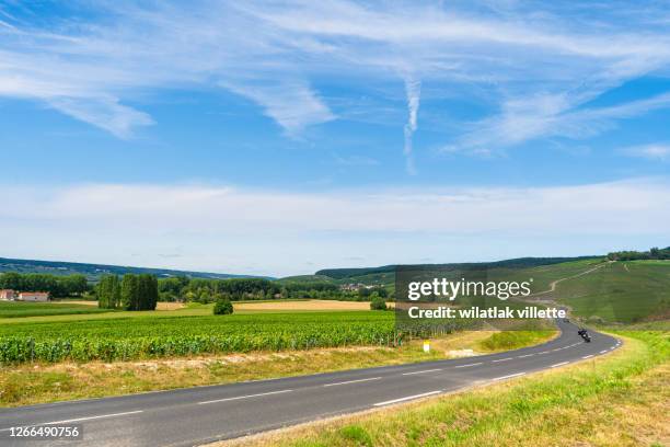 vineyards and grapes in a hill-country farm in france - moet et chandon vineyard stock pictures, royalty-free photos & images