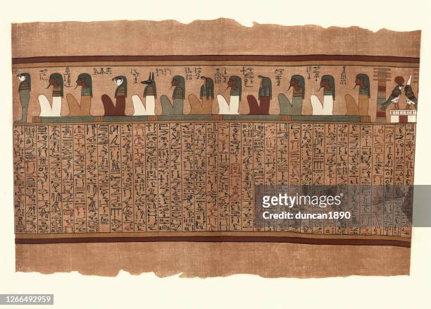 papyrus of ani, eleven ancient egyptian deities - anubis stock illustrations