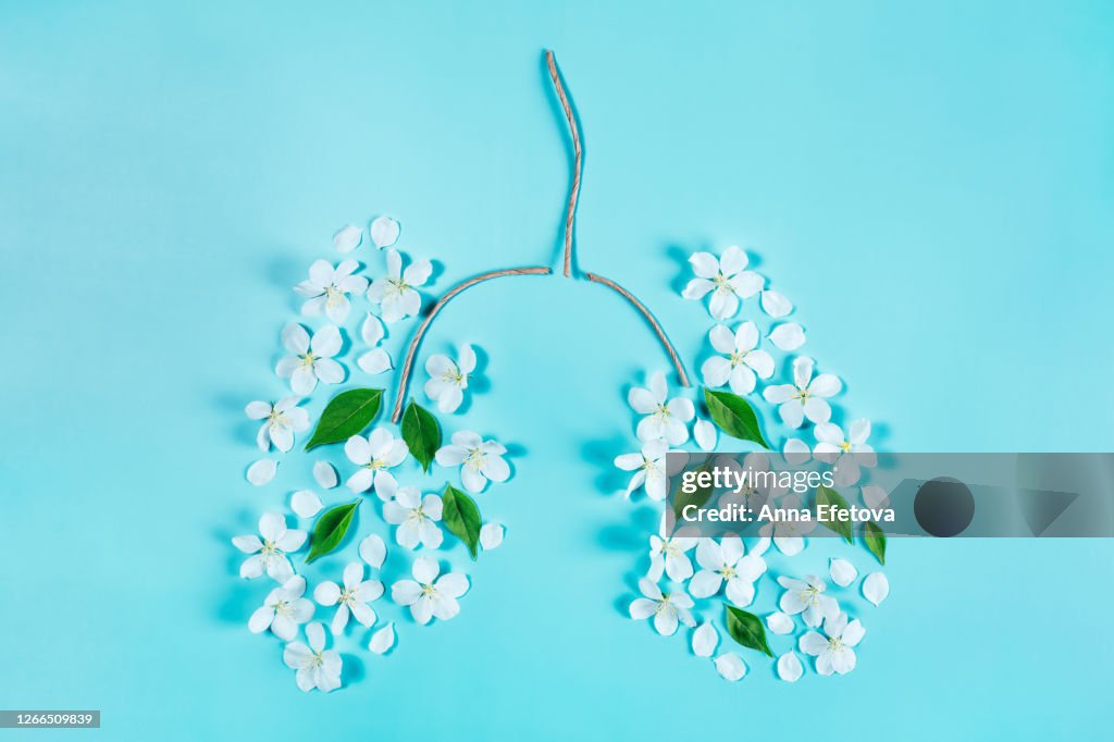 Lungs from flowers and twigs
