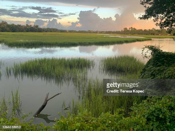 marsh at sunset - bayou stock pictures, royalty-free photos & images