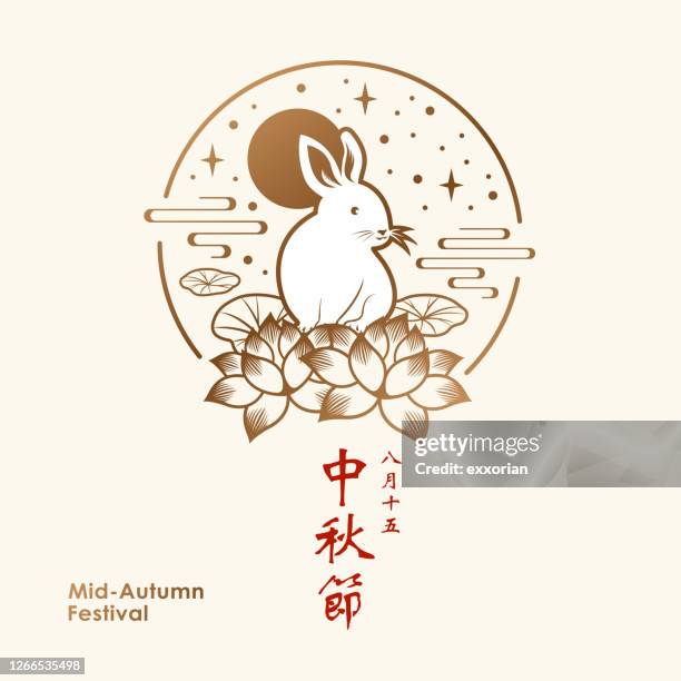 illustrazioni stock, clip art, cartoni animati e icone di tendenza di coniglio della luna piena di autunno medio - chinese new year vector