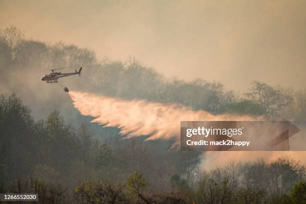 firefighting on helicopter in forest fire with white smoke - fighting forest fire stock pictures, royalty-free photos & images