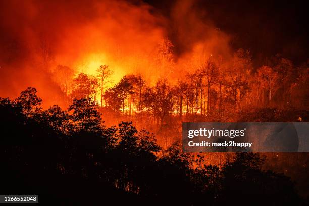 waldbrand in der nacht auf dem berg mit starkem rauch - emergencies and disasters stock-fotos und bilder