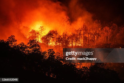Incendio boschivo di notte sulla montagna con grande fumo Incendio boschivo di notte sulla montagna con grande fumo