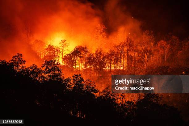 incendio boschivo di notte sulla montagna con grande fumo - evento catastrofico foto e immagini stock