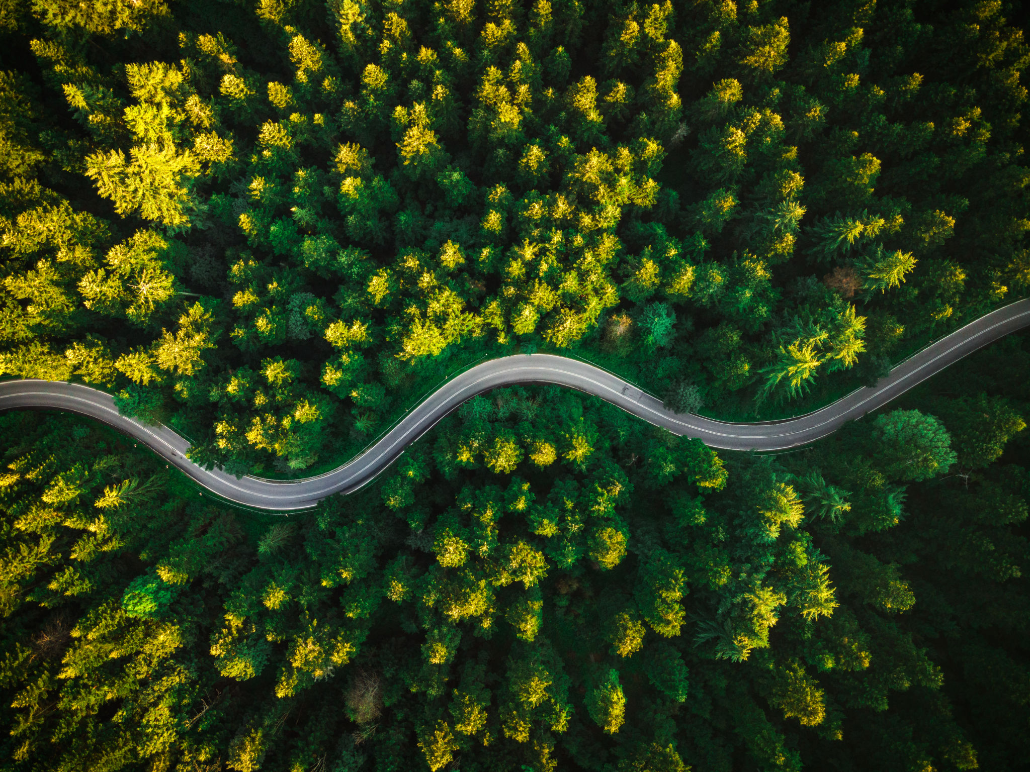 green road