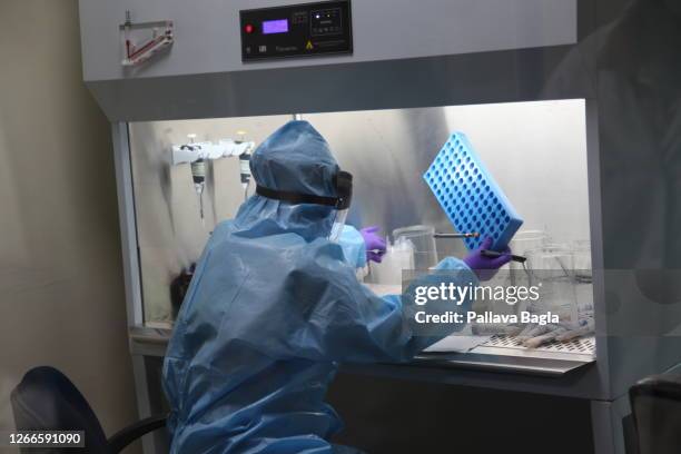 Scientists wearing PPE carry out tests in a bio safety facility on August 13,2020 at the Translational Health Science Technology Institute in...