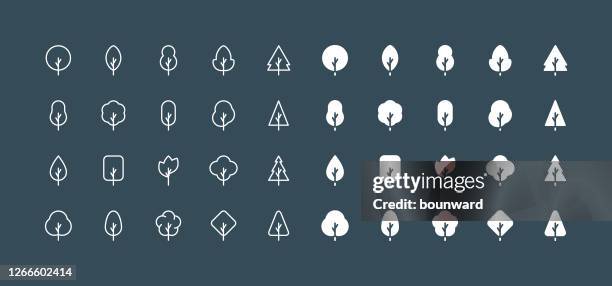flat & line tree icons editable stroke - pine tree stock illustrations
