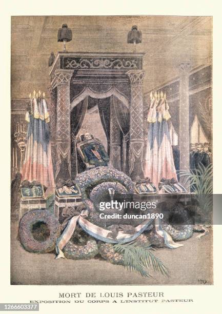 body louis pasteur lying in state, 1895 - louis pasteur stock illustrations