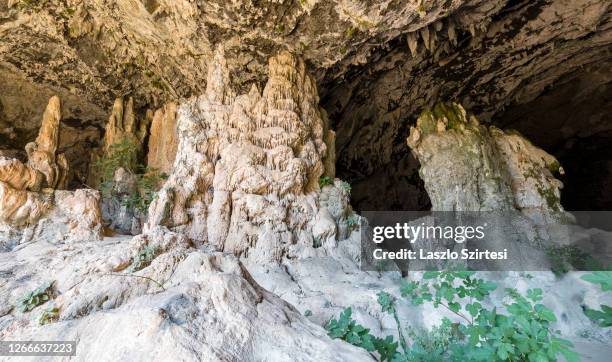 Minoa Rice Minoa Pediada Photos and Premium High Res Pictures - Getty Images