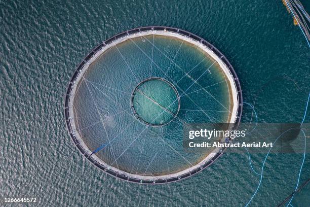 aerial shot above a circular fish farm in a loch, scottish highlands, united kingdom - scottish culture photos et images de collection