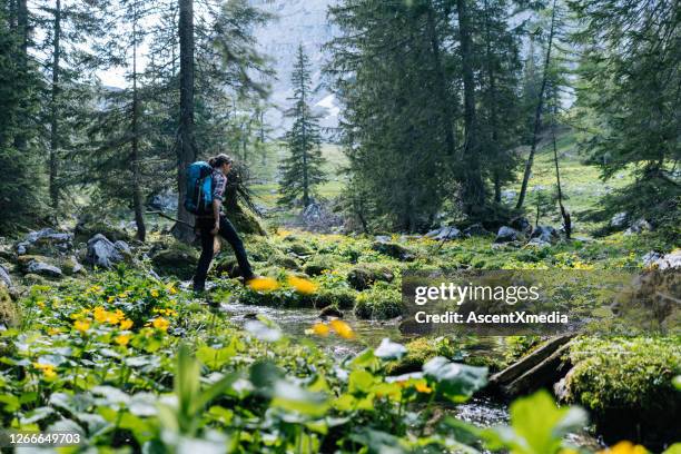 junge frau wandert über einen bach in einer bergwiese - gebirgsbach stock-fotos und bilder