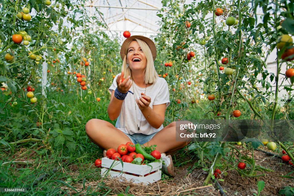 Joyful positive woman playing with a tomatoes in the garden.